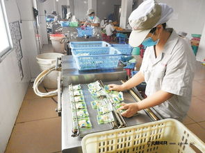 區域優勢轉化為發展動能 四川打造一批商貿物流特色鎮，食品經營煥發新活力